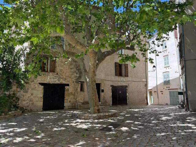 Appartement vente à Arrondissement de Draguignan, Bargemon