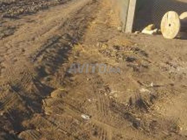 Propriété vente à Gharb-Chrarda-Beni Hssen