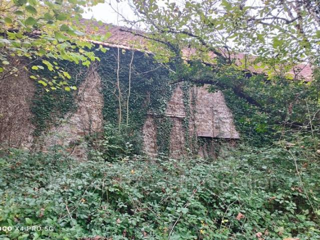 Maison vente à Tulle, Naves