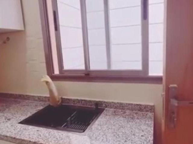 Appartement vente à Lyautey