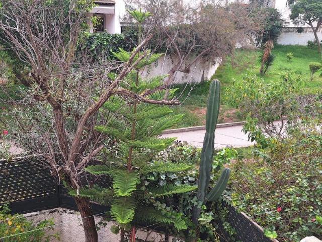 Appartement vente à Agdal, Rbat