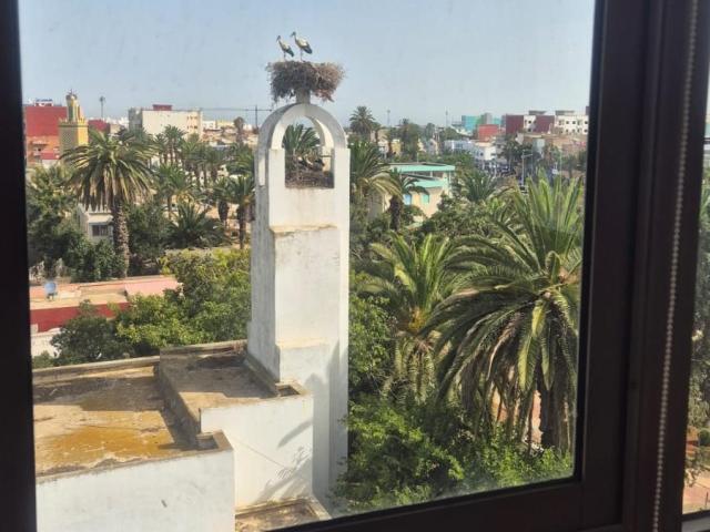 Appartement vente à Gharb-Chrarda-Beni Hssen