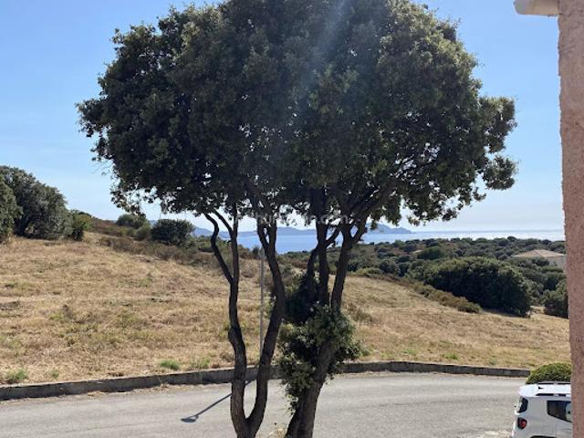 Appartement vente à Calvi, Lumio