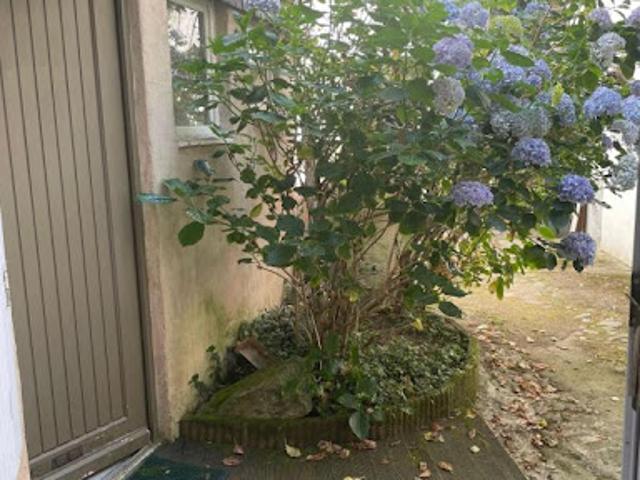 Appartement vente à Centre - Le Port, Vannes