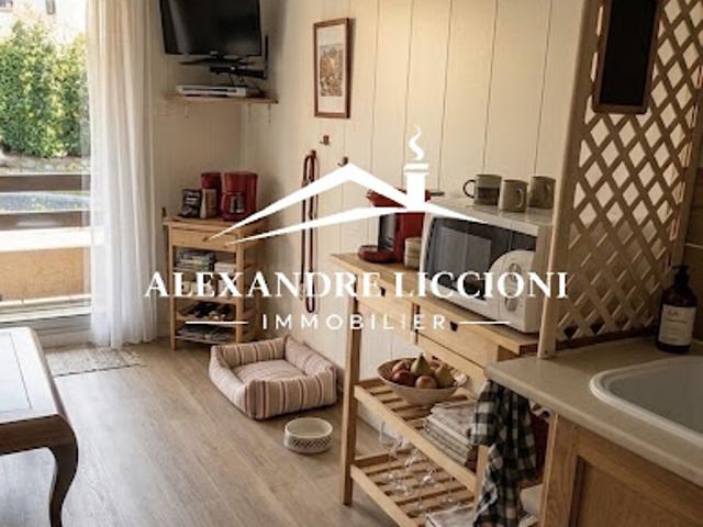 Appartement vente à Barcelonnette, Enchastrayes