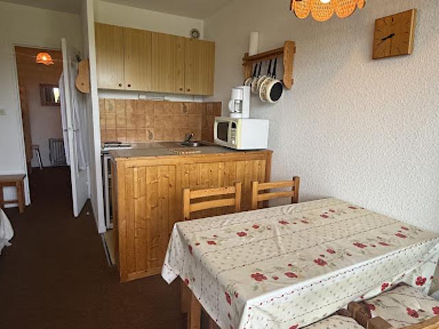 Appartement vente à Barcelonnette, Enchastrayes