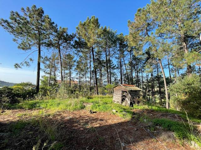 Appartement vente à Ajaccio