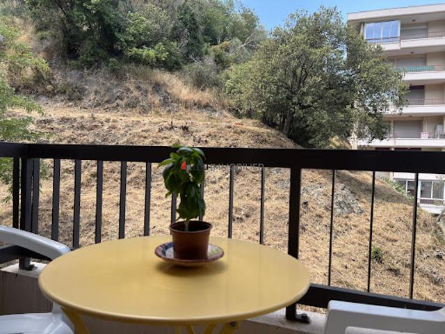 Appartement vente à Céret, Amélie-les-bains-palalda