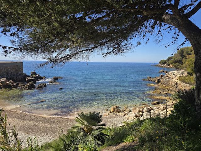Appartement vente à Arrondissement de Toulon, Bandol