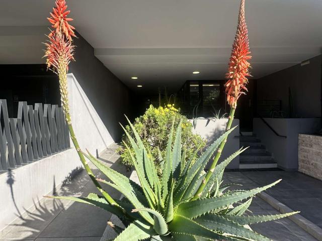 Appartement vente à Marseille