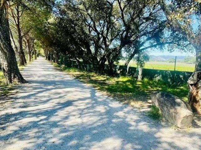 Appartement vente à Arrondissement de Toulon, La Londe-les-maures