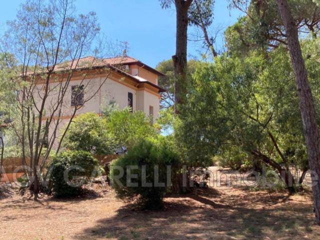 Appartement vente à Arrondissement de Toulon, La Londe-les-maures