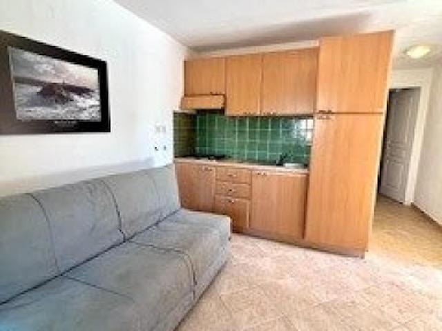 Appartement vente à Corte, Linguizzetta