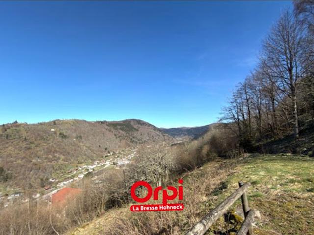 Appartement vente à Épinal, La Bresse