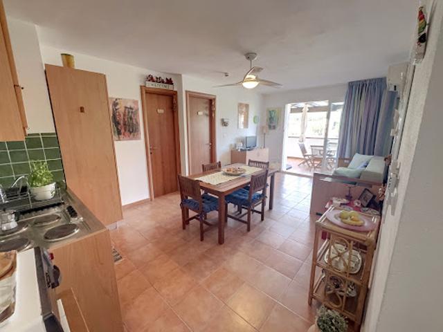 Appartement vente à Corte, Canale-di-verde