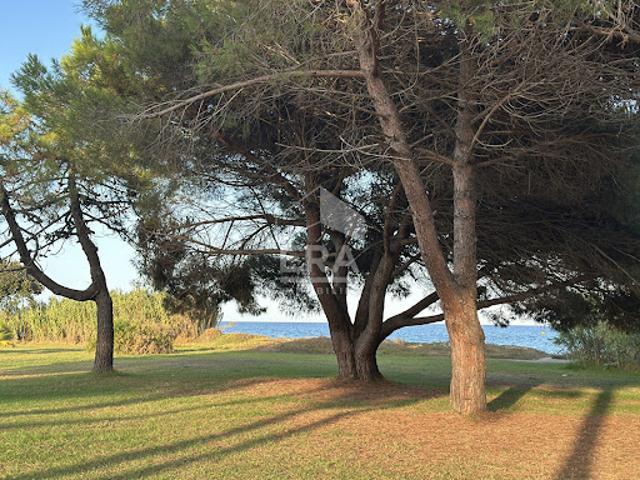 Appartement vente à Corte, Velone-orneto