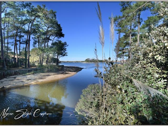 Appartement vente à France métropolitaine, Soustons
