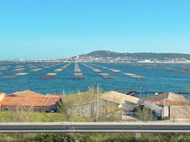 Appartement vente à Montpellier, Marseillan