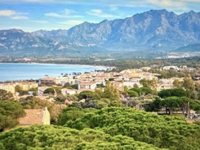 Appartement vente à Calvi