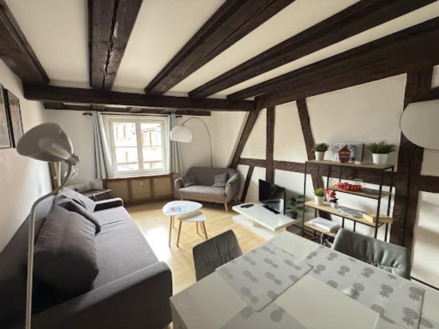 Appartement vente à Colmar-Ribeauvillé, Colmar