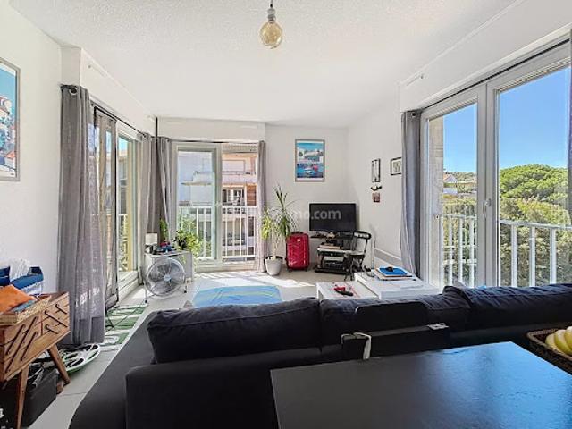 Appartement vente à Calvi