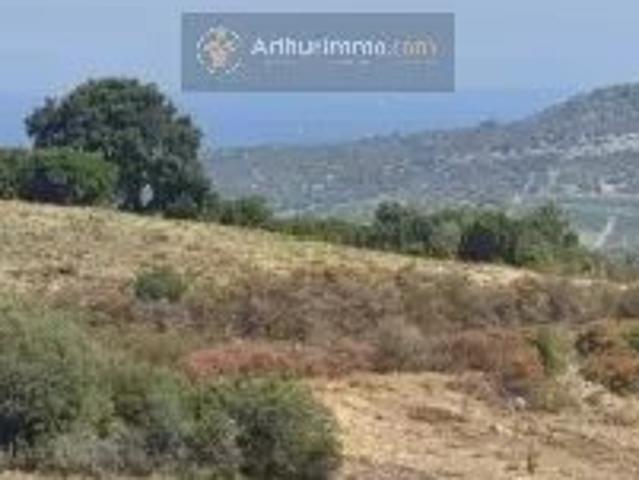 Appartement vente à Calvi, Olmeta-di-tuda