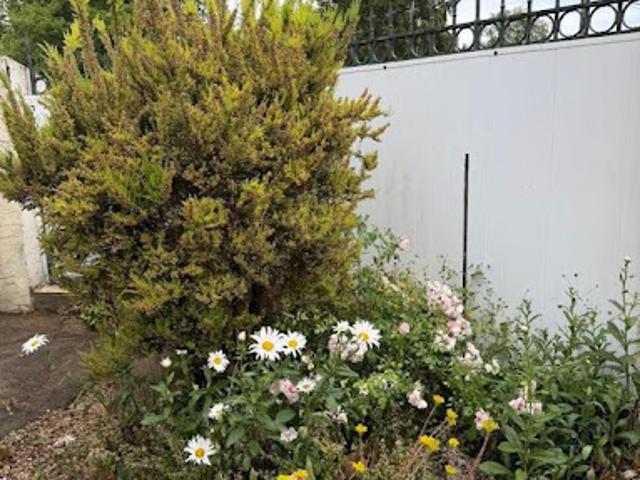 Appartement vente à Nevers