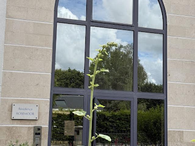 Appartement vente à Orléans