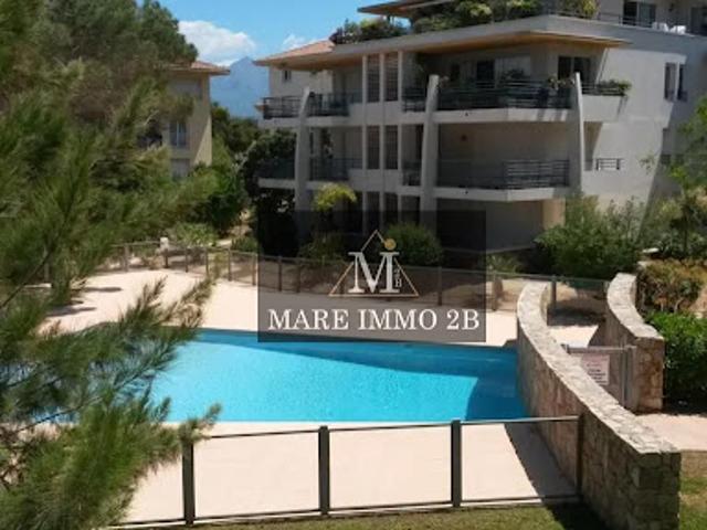 Appartement vente à Calvi