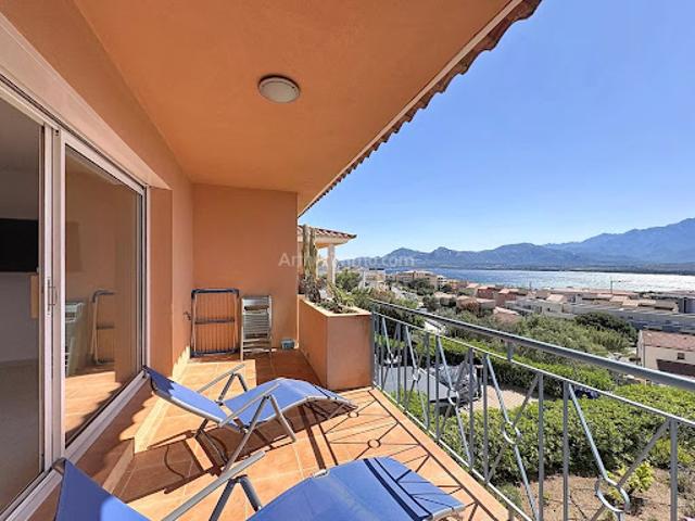 Appartement vente à Calvi