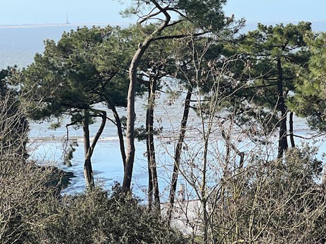 Appartement vente à Rochefort, Royan