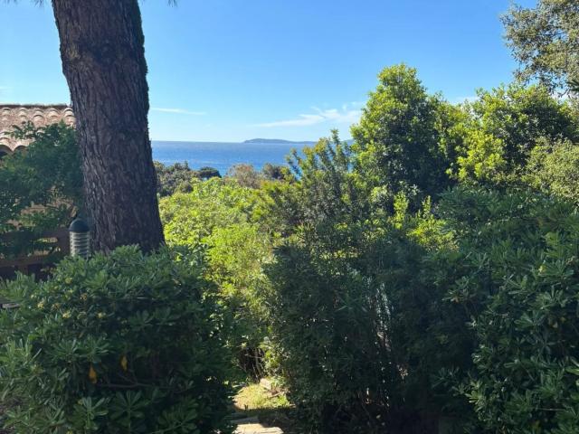 Appartement vente à Arrondissement de Toulon, Le Lavandou