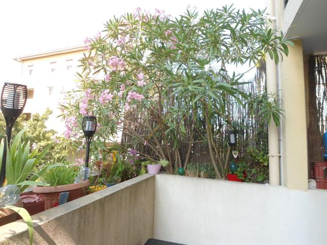 Appartement vente à Marseille, Aubagne
