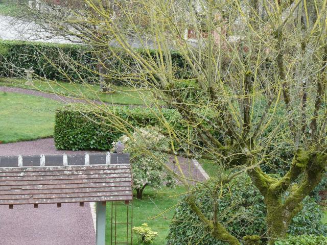 Appartement vente à Alençon, Normandie