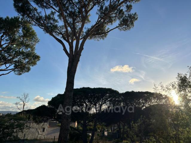 Appartement vente à Arrondissement de Draguignan, Plan-de-la-tour