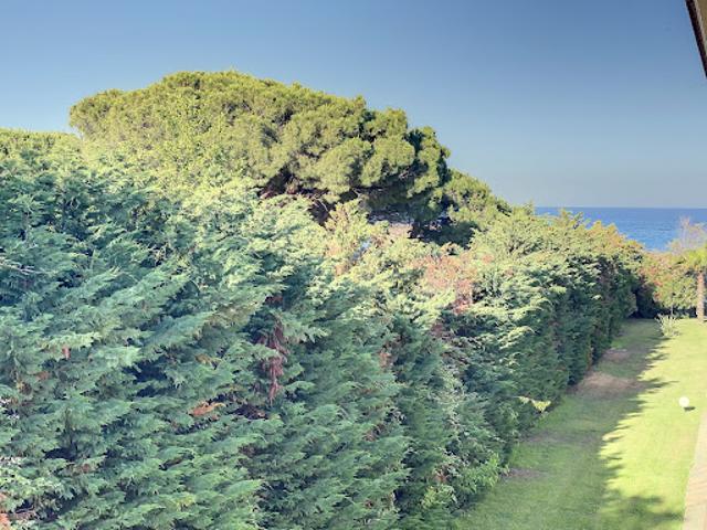Appartement vente à Corte, Canale-di-verde