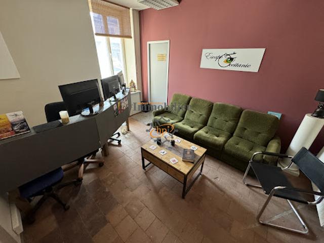 Appartement vente à Millau, Saint-affrique