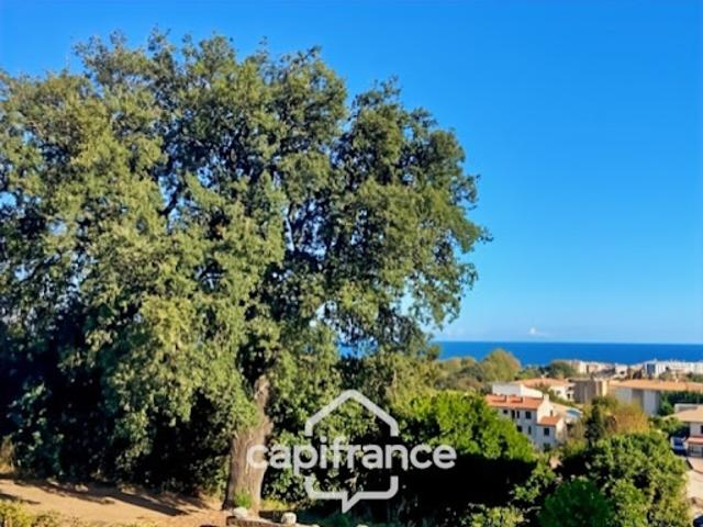Appartement vente à Corte, Canale-di-verde