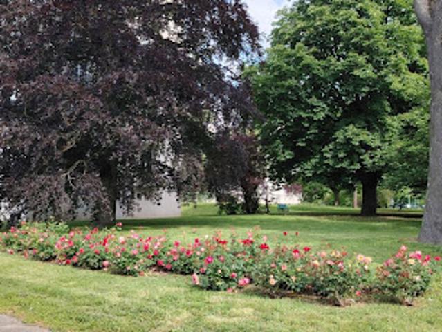 Appartement vente à Tours