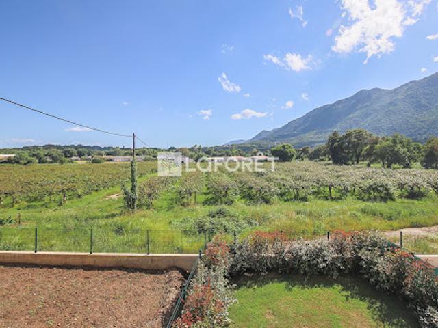 Appartement vente à Corte, Canale-di-verde