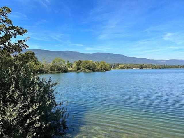 Appartement vente à Thonon-les-Bains, Sciez