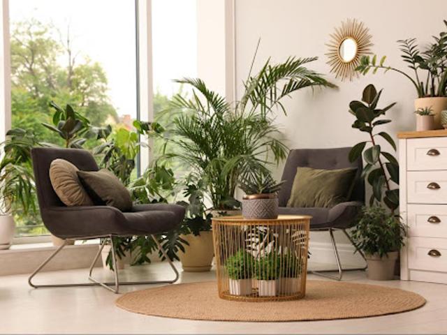 Appartement vente à Narbonne