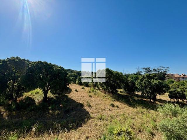 Appartement vente à Ajaccio