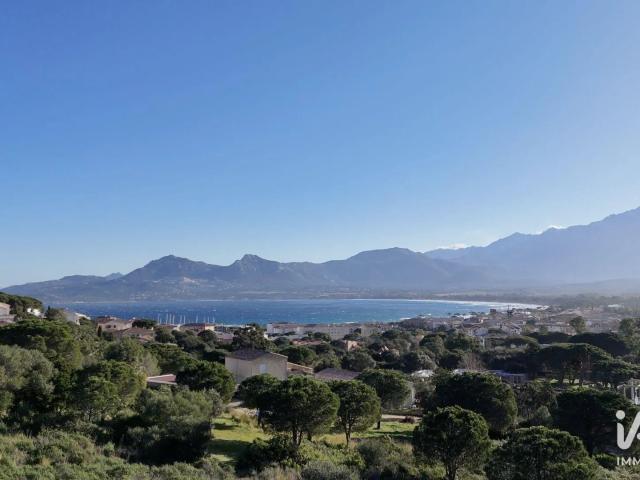 Appartement vente à Calvi