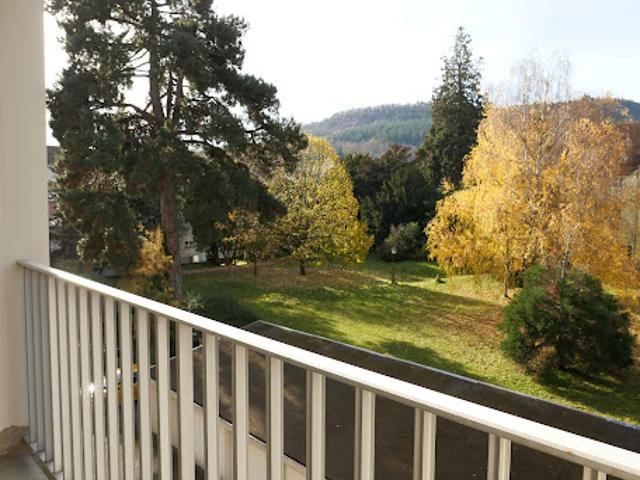 Appartement vente à Thann-Guebwiller, Buhl