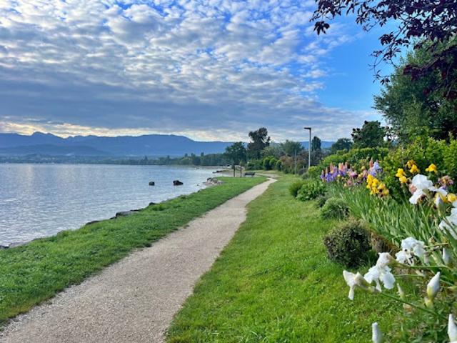 Appartement vente à Thonon-les-Bains, Excenevex