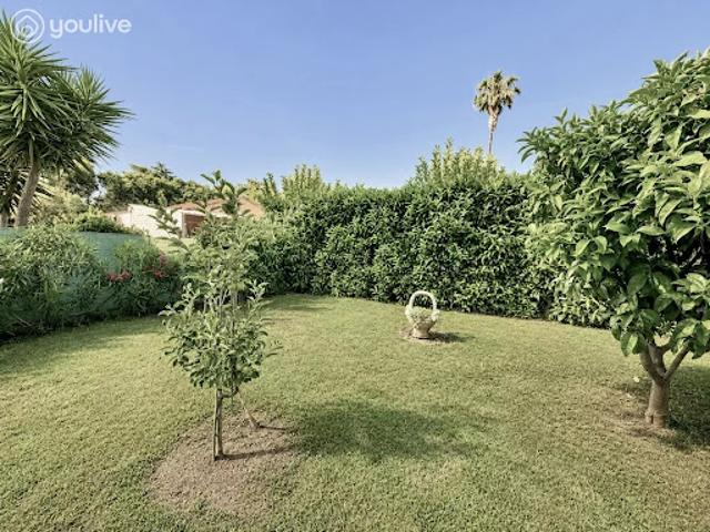 Appartement vente à Corte, San-nicolao