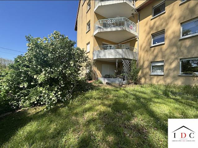 Appartement vente à Sarrebourg-Château-Salins, Sarrebourg