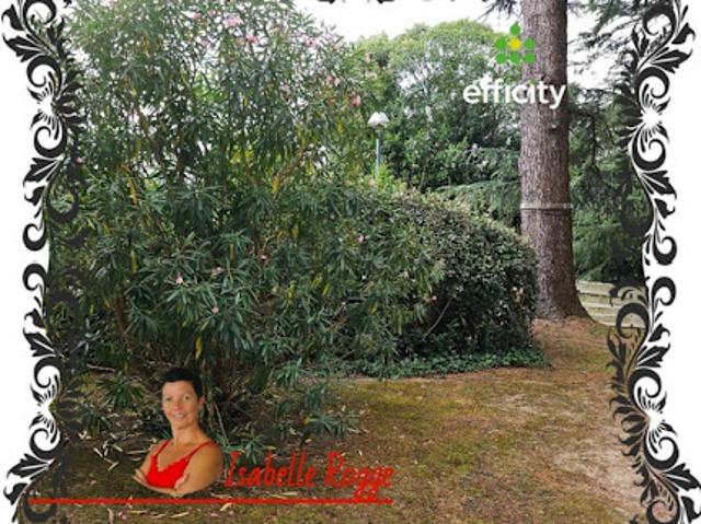 Appartement vente à France métropolitaine, Bayonne