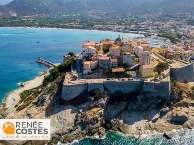 Appartement vente à Calvi